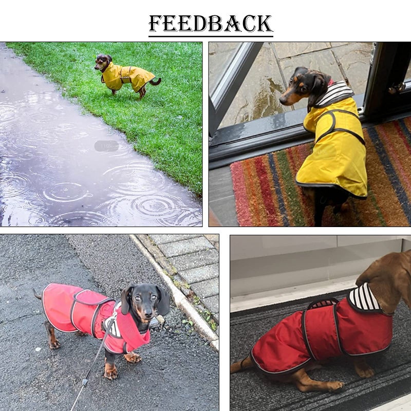 Morezi Dachshund Raincoat Corgi Raincoat Dogs Waterproof fit for Dachshunds Weiner Long Back Breeds with Reflective Stripe Great Coverage in Autumn Winter - Yellow - M - Image 5